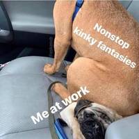 no bras allowed 29 pics 3.html - 29 HD Photos | Premium Gallery 2025