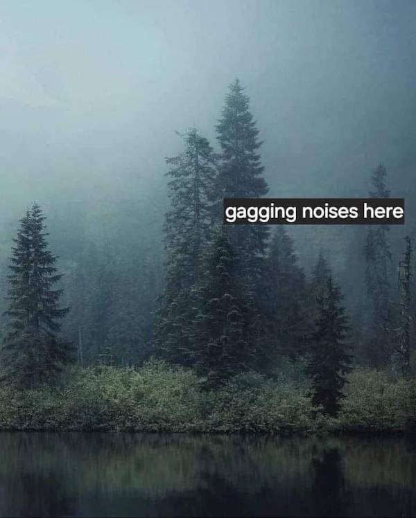 nsfw laughs for grownups 33 pics 9.html - 33 HD Photos | Premium Gallery 2024