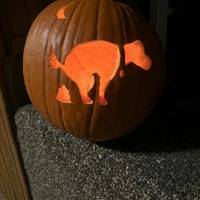 unfortunately these tattoos are permanent 35 pics 1.html - 35 HD Photos | Premium Gallery 2021