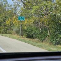 curiosities and bonus pictures.html - 1 HD Photos | Premium Gallery 2009