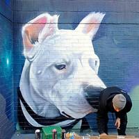 these girls know the secrets of good cosplay 53 pics 49.html - 53 HD Photos | Premium Gallery 2018