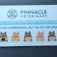 the drunken mayhem of the preakness infield 25 pics 1.html - 25 HD Photos | Premium Gallery 2011