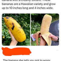 gaming is forever 52 pics 3 gifs 28.html - 52 HD GIF | Premium Gallery 2017