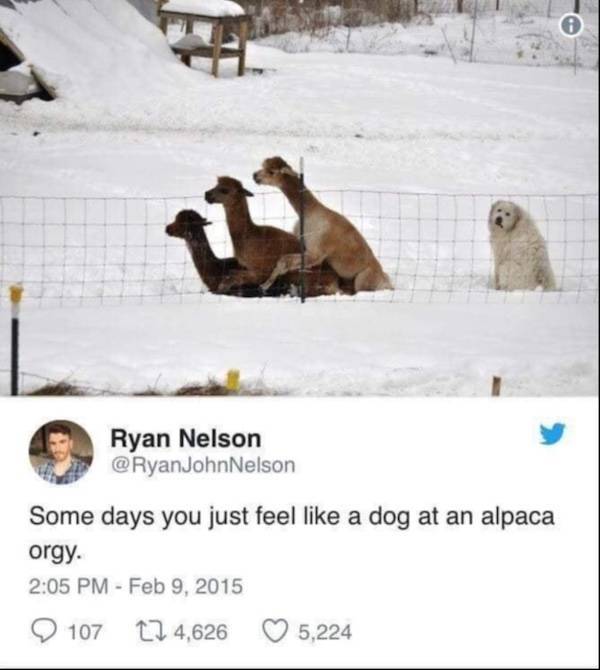 dirty minds only 38 pics 14.html - 38 HD Photos | Premium Gallery 2024