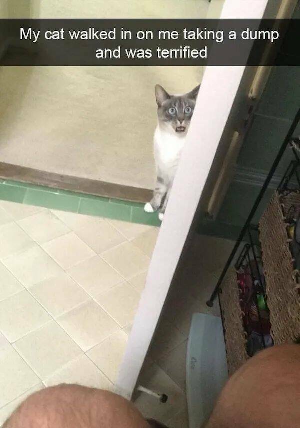 dirty minds only 38 pics 14.html - 38 HD Photos | Premium Gallery 2024