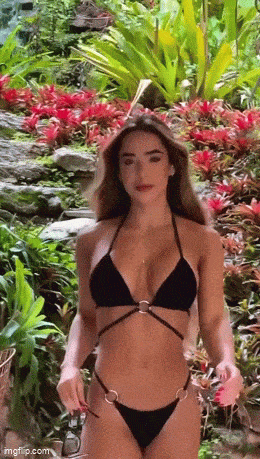 hot girls are here for you 32 gifs 5.html - 1 HD GIF | Premium Gallery 2024