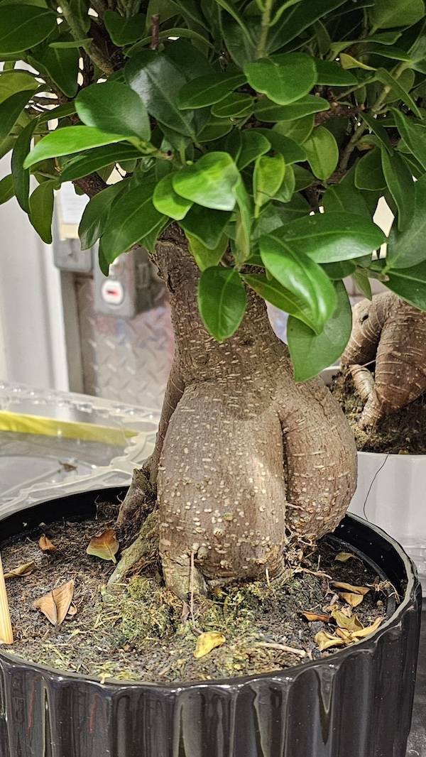 dirty minds are welcome 36 pics 2 gifs 17.html - 36 HD GIF | Premium Gallery 2024