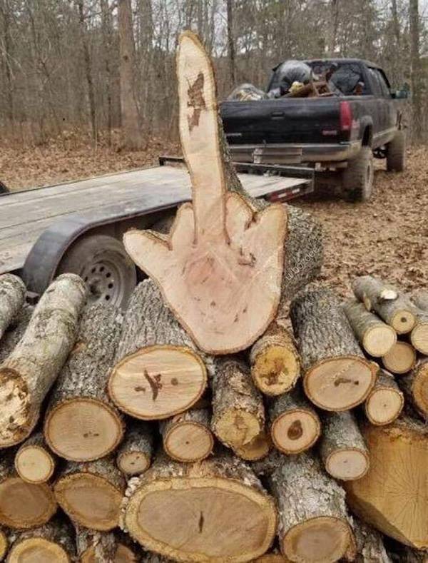 dirty minds are welcome 36 pics 2 gifs 17.html - 36 HD GIF | Premium Gallery 2024