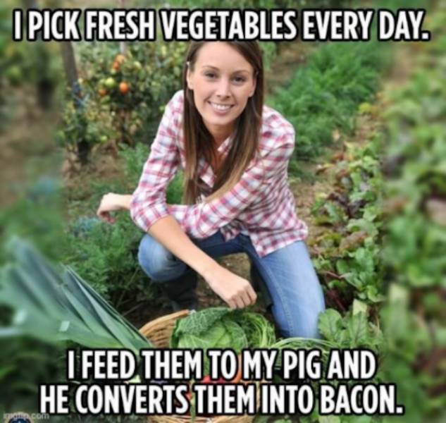 slightly naughty memes for a flirty laugh 42 pics 19.html - 42 HD Photos | Premium Gallery 2024