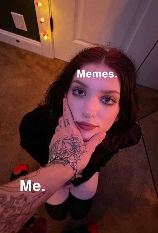 nsfw laughs for grownups 32 pics 2.html - 32 HD Photos | Premium Gallery 2024