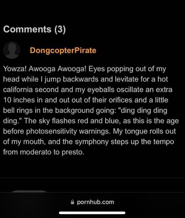 PornHub’s Comments Are Always Wild!