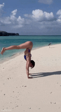 hot girls are here for you 32 gifs 8.html - 1 HD GIF | Premium Gallery 2024