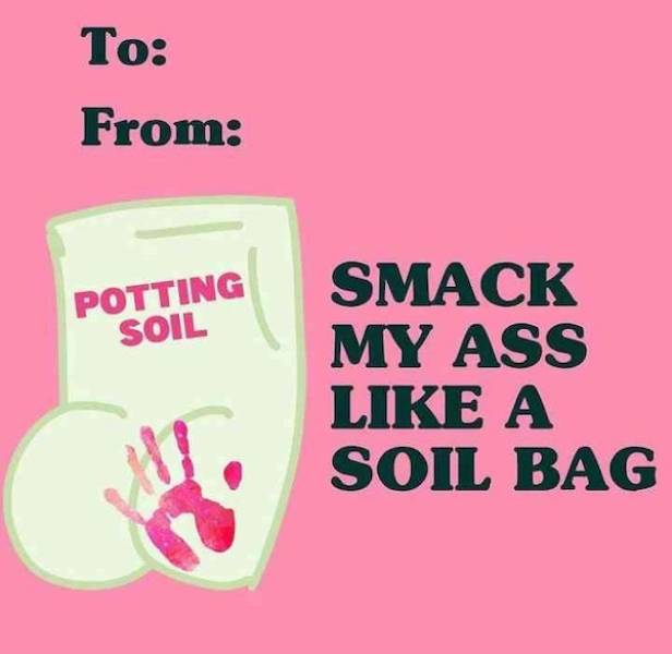 flirty memes to annoy your significant other 30 pics 15.html - 30 HD Photos | Premium Gallery 2024