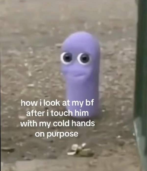 flirty memes to annoy your significant other 30 pics 15.html - 30 HD Photos | Premium Gallery 2024