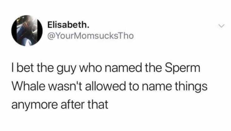 dirty minds are welcome 34 pics 7.html - 34 HD Photos | Premium Gallery 2024