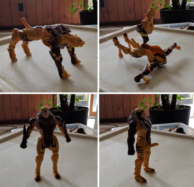 dirty minds are welcome 34 pics 7.html - 34 HD Photos | Premium Gallery 2024