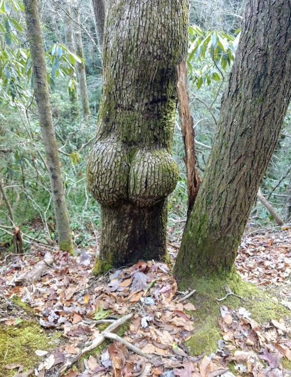 dirty minds are welcome 34 pics 7.html - 34 HD Photos | Premium Gallery 2024