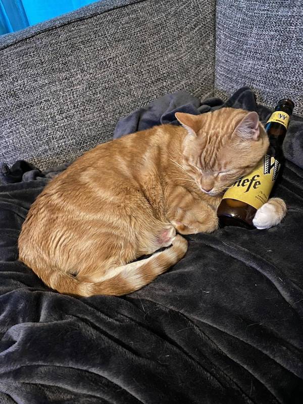 drinking time 46 pics 12.html - 46 HD Photos | Premium Gallery 2024