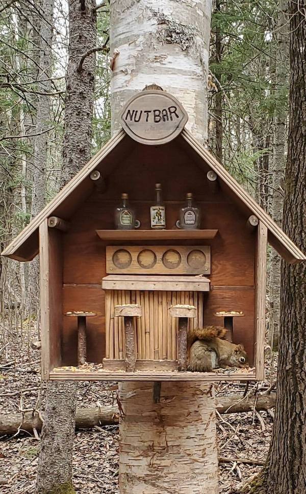 drinking time 46 pics 12.html - 46 HD Photos | Premium Gallery 2024