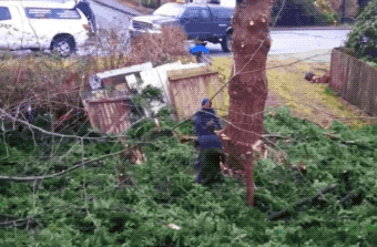 drunk or stupid 33 gifs 2.html - 1 HD GIF | Premium Gallery 2024