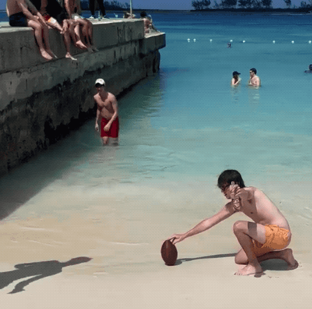 drunk or stupid 33 gifs 2.html - 1 HD GIF | Premium Gallery 2024
