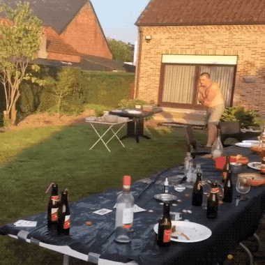 drunk or stupid 33 gifs 2.html - 1 HD GIF | Premium Gallery 2024