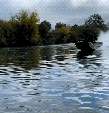 drunk or stupid 33 gifs 2.html - 1 HD GIF | Premium Gallery 2024