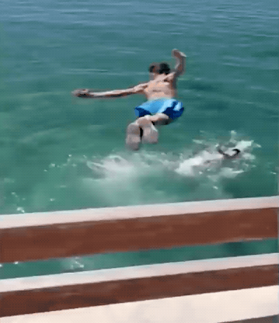 drunk or stupid 33 gifs 2.html - 1 HD GIF | Premium Gallery 2024