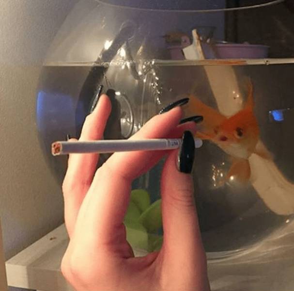 dirty minds are welcome 34 pics 12.html - 34 HD Photos | Premium Gallery 2024