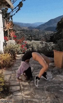 hot girls are here for you 32 gifs 5.html - 1 HD GIF | Premium Gallery 2024