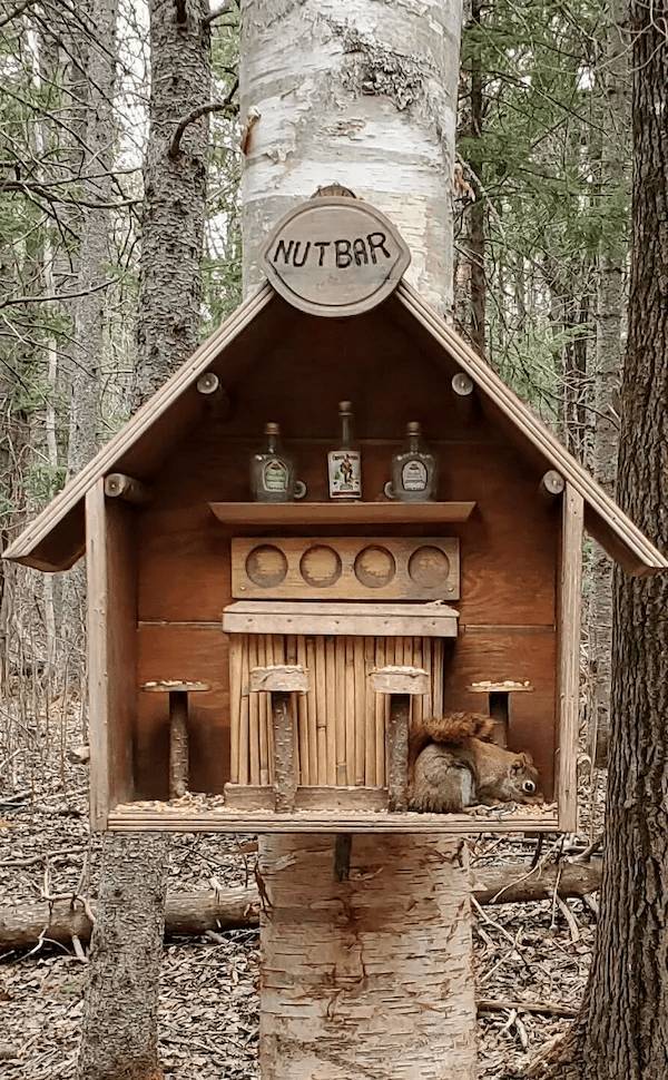 cheers everyone 52 pics 2 gifs 9.html - 52 HD GIF | Premium Gallery 2024