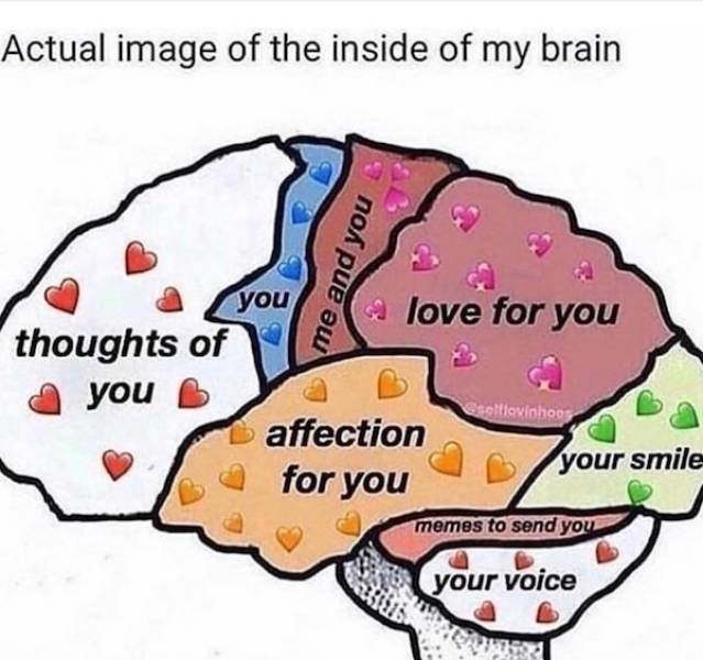 flirty memes to annoy your significant other 32 pics 5.html - 32 HD Photos | Premium Gallery 2024