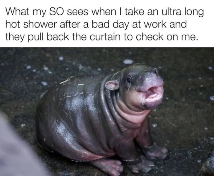 flirty memes to annoy your significant other 32 pics 5.html - 32 HD Photos | Premium Gallery 2024