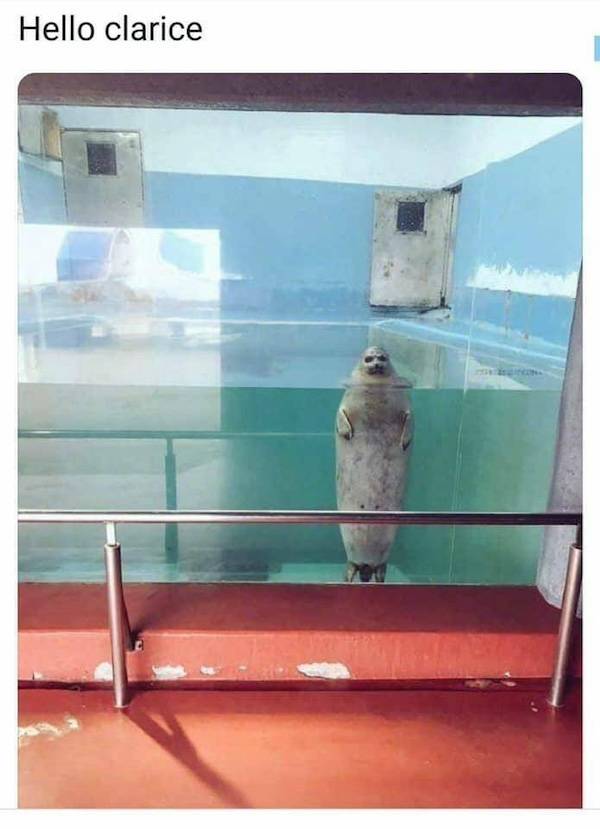 dirty minds are welcome 35 pics 3.html - 35 HD Photos | Premium Gallery 2025