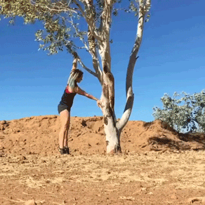 flaming fiascos collection of hot fails 31 gifs 6.html - 1 HD GIF | Premium Gallery 2025