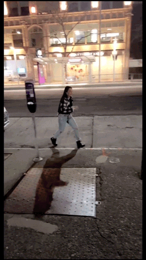 flaming fiascos collection of hot fails 31 gifs 6.html - 1 HD GIF | Premium Gallery 2025