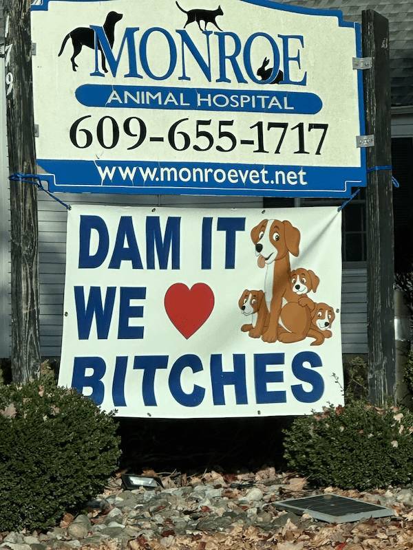 dirty minds only 40 pics 18.html - 40 HD Photos | Premium Gallery 2025