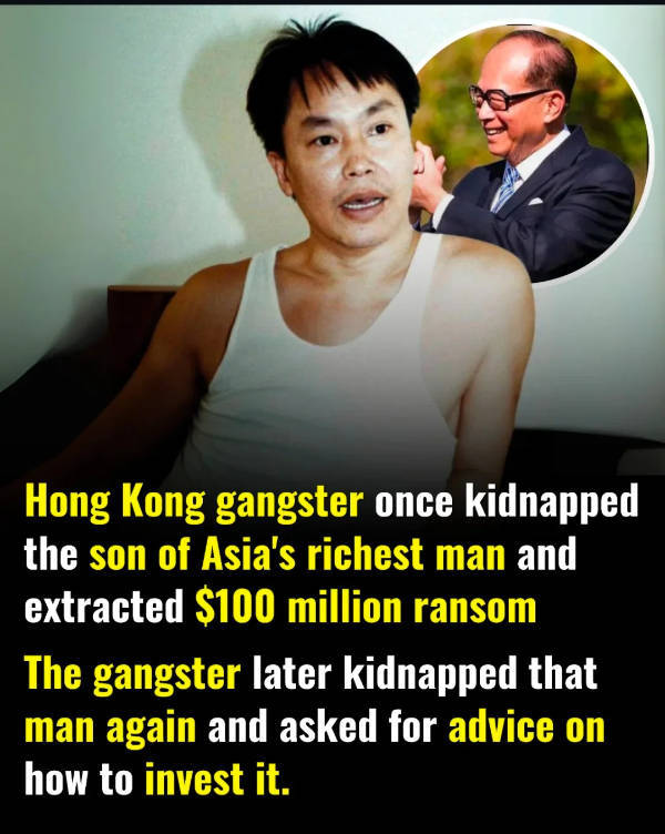 Hold On A Damn Minute!