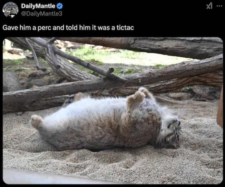 Dirty Minds Are Welcome!