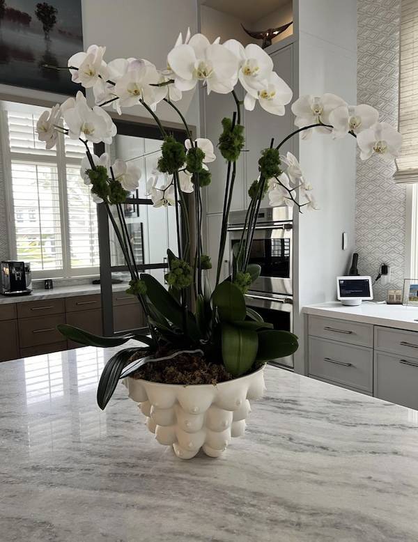 Dirty Minds Are Welcome!