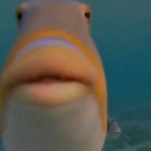 Men Respond To The Toughest Questions From Women