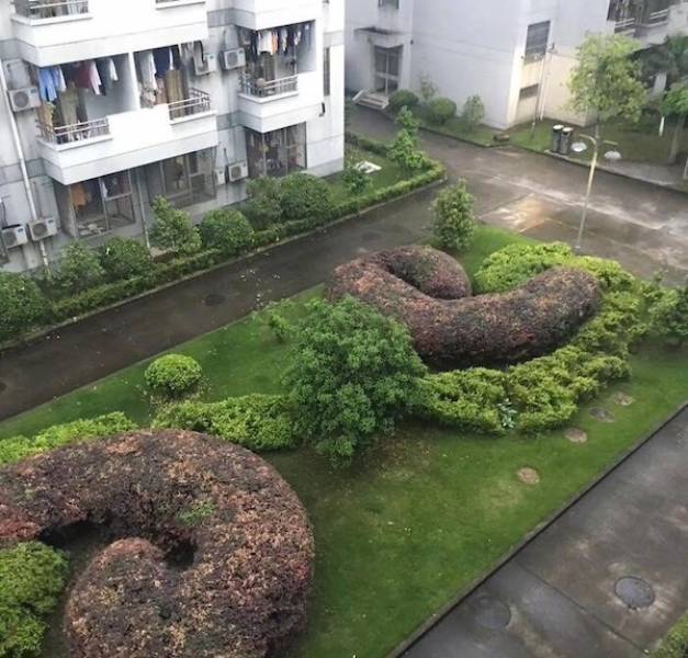 dirty minds only 38 pics 14.html - 38 HD Photos | Premium Gallery 2025