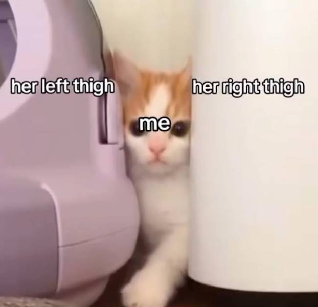 Playfully Naughty Memes For When You