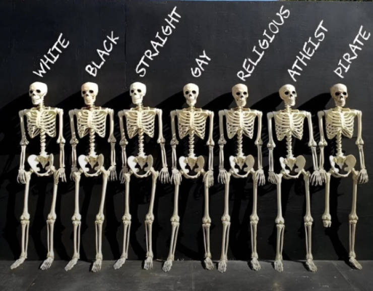 Hold Up A Damn Minute!