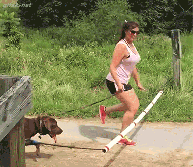 flaming fiascos collection of hot fails 28 gifs 2.html - 1 HD GIF | Premium Gallery 2025