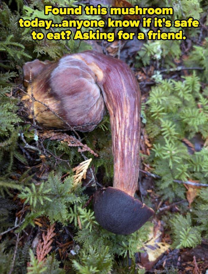 When Photos Are Both Questionable And Hilarious