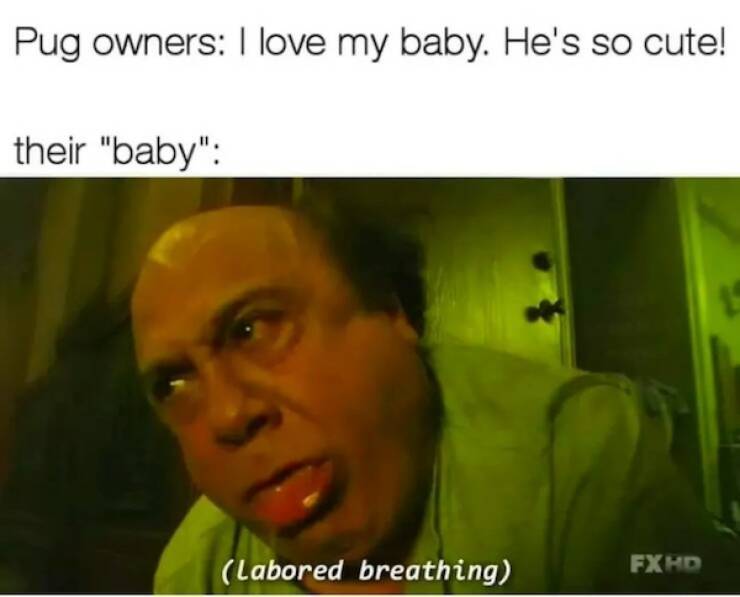 for all dirty minds 35 pics 9.html - 35 HD Photos | Premium Gallery 2025