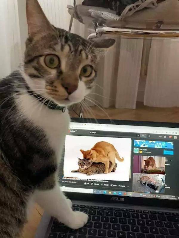 for all dirty minds 35 pics 9.html - 35 HD Photos | Premium Gallery 2025