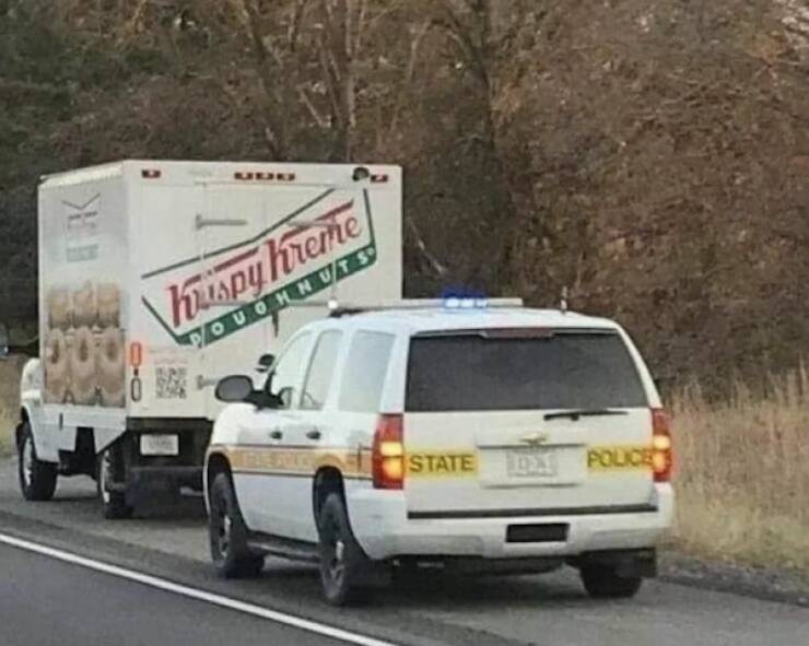 dirty dump for dirty minds 35 pics 1 gif 17.html - 35 HD GIF | Premium Gallery 2025