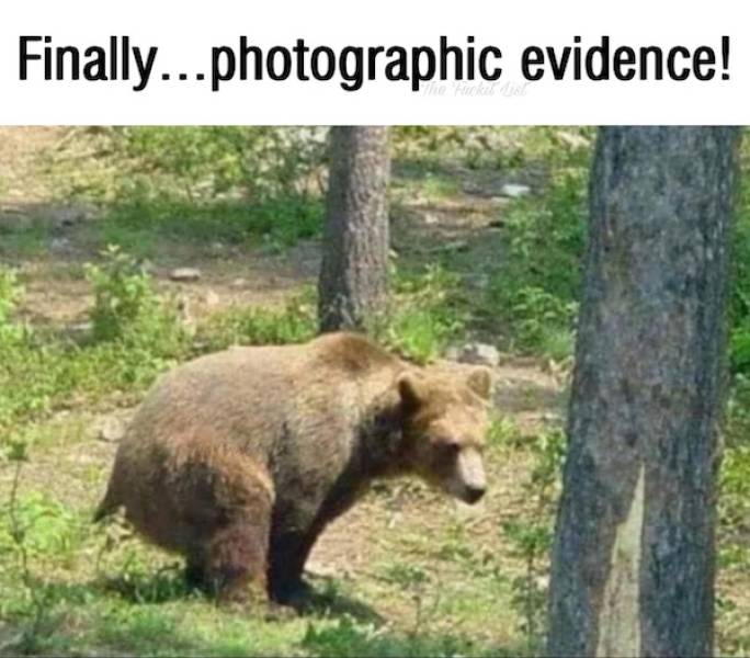 dirty dump for dirty minds 35 pics 1 gif 17.html - 35 HD GIF | Premium Gallery 2025